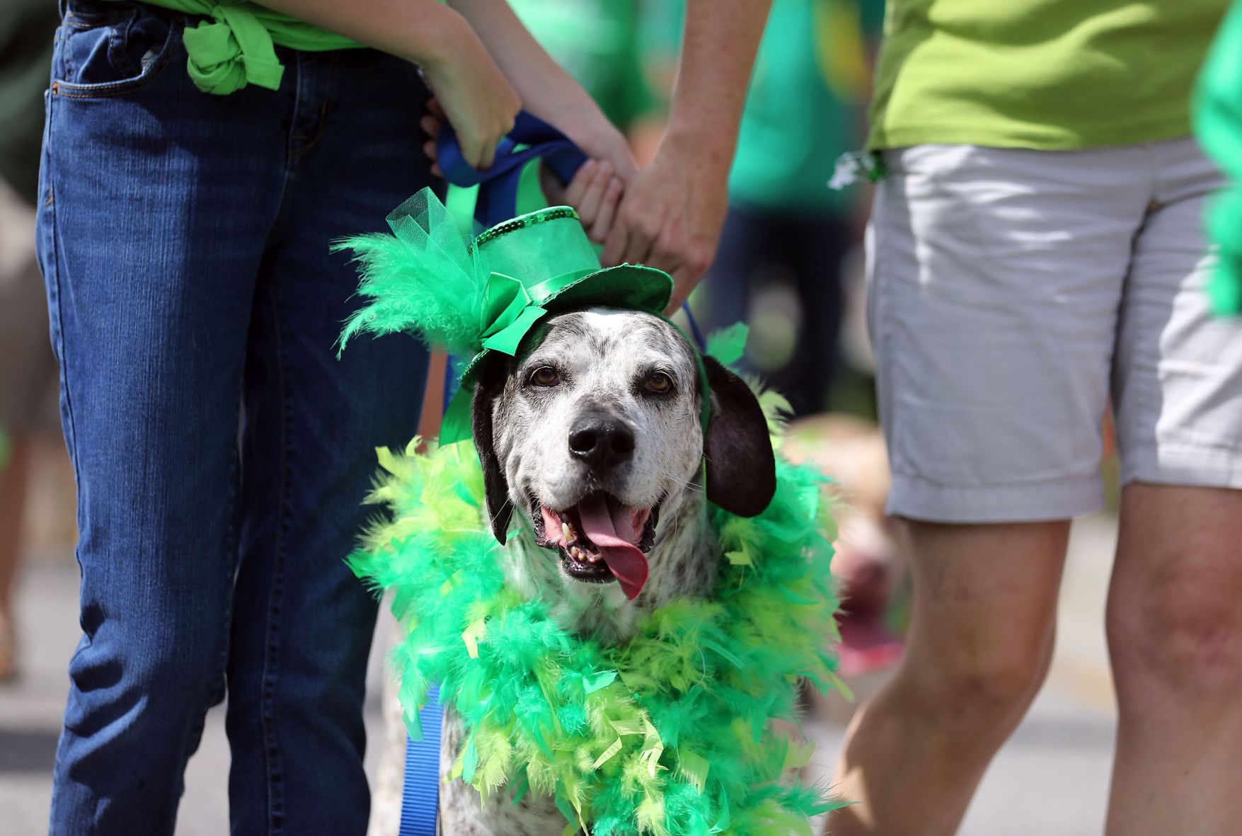 North Charleston Celebrates St. Patrick's Day